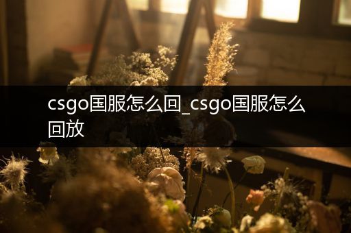 csgo国服怎么回_csgo国服怎么回放