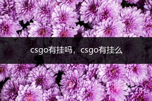 csgo有挂吗，csgo有挂么