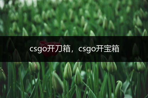 csgo开刀箱，csgo开宝箱