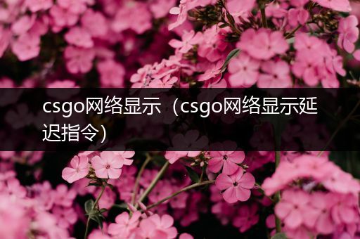 csgo网络显示（csgo网络显示延迟指令）