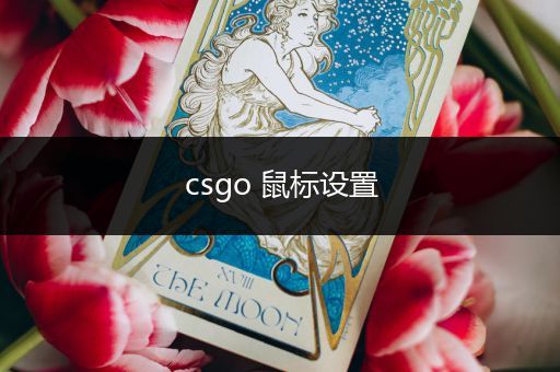 csgo 鼠标设置