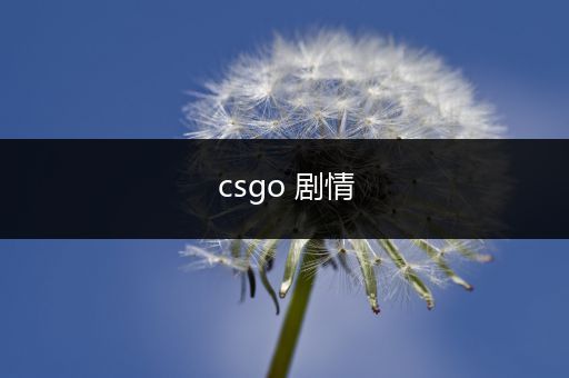 csgo 剧情