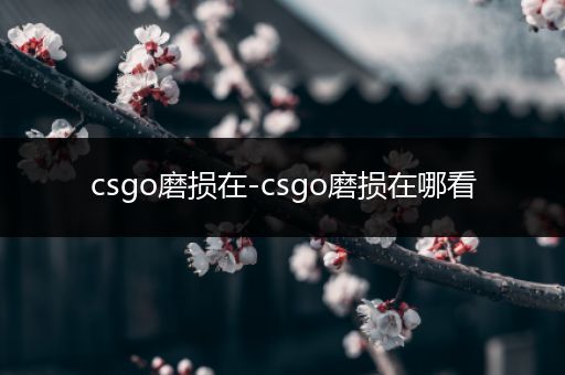 csgo磨损在-csgo磨损在哪看