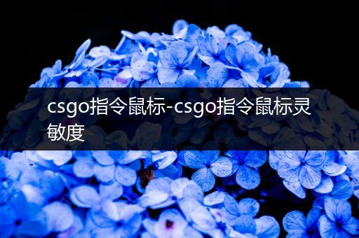 csgo指令鼠标-csgo指令鼠标灵敏度