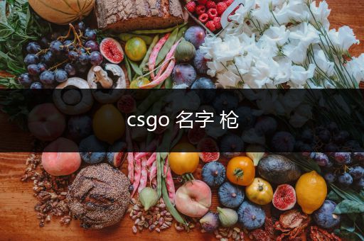 csgo 名字 枪