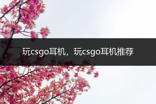 玩csgo耳机，玩csgo耳机推荐