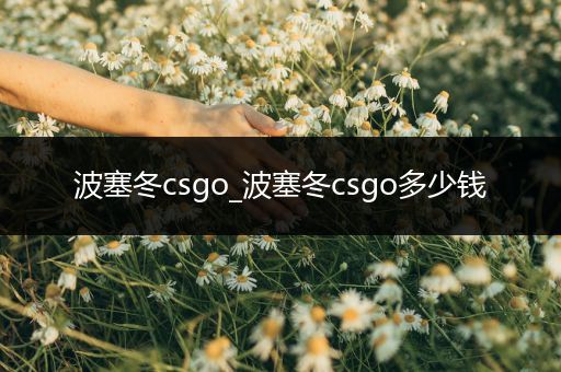 波塞冬csgo_波塞冬csgo多少钱