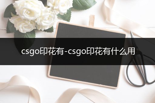 csgo印花有-csgo印花有什么用