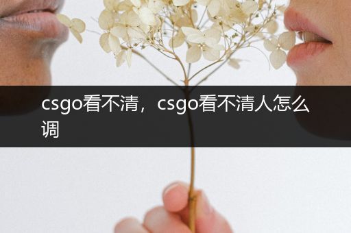 csgo看不清，csgo看不清人怎么调