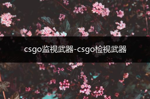 csgo监视武器-csgo检视武器