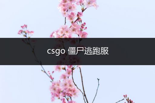 csgo 僵尸逃跑服