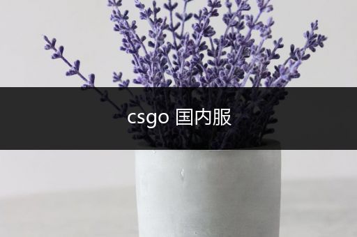 csgo 国内服