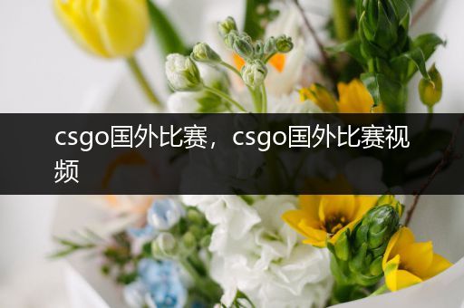 csgo国外比赛，csgo国外比赛视频