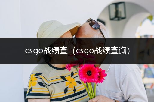 csgo战绩查（csgo战绩查询）