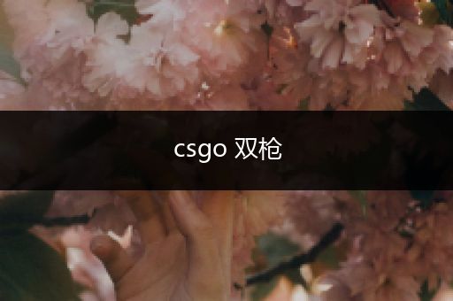 csgo 双枪