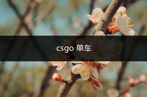 csgo 单车