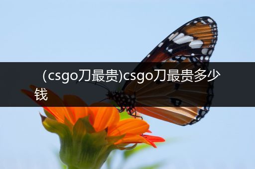 （csgo刀最贵)csgo刀最贵多少钱