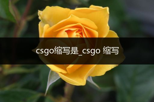 csgo缩写是_csgo 缩写