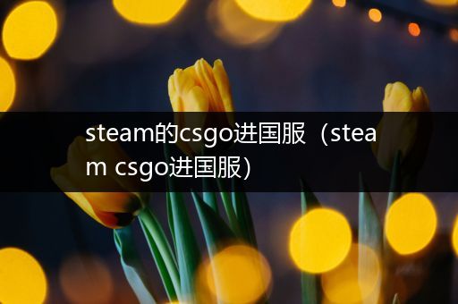 steam的csgo进国服（steam csgo进国服）