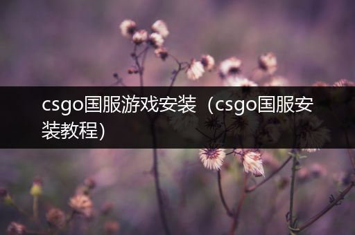 csgo国服游戏安装（csgo国服安装教程）