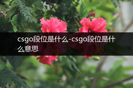 csgo段位是什么-csgo段位是什么意思