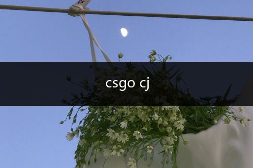 csgo cj