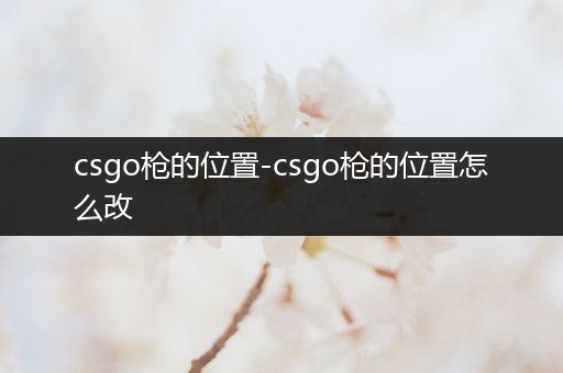 csgo枪的位置-csgo枪的位置怎么改