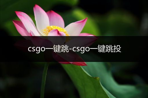 csgo一键跳-csgo一键跳投