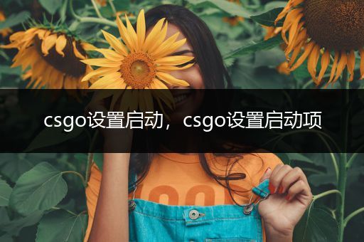 csgo设置启动，csgo设置启动项