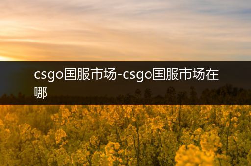 csgo国服市场-csgo国服市场在哪