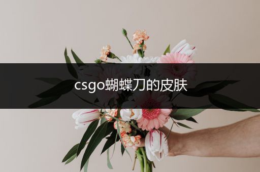 csgo蝴蝶刀的皮肤