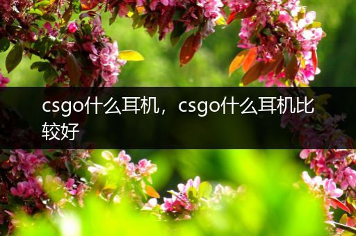 csgo什么耳机，csgo什么耳机比较好