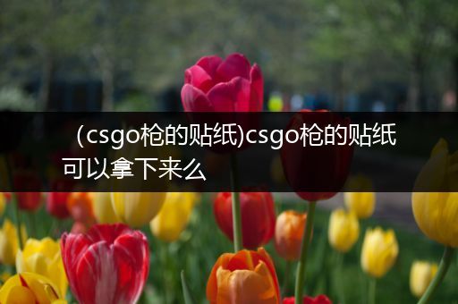 （csgo枪的贴纸)csgo枪的贴纸可以拿下来么