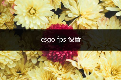 csgo fps 设置