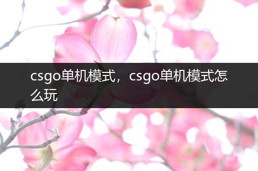 csgo单机模式，csgo单机模式怎么玩