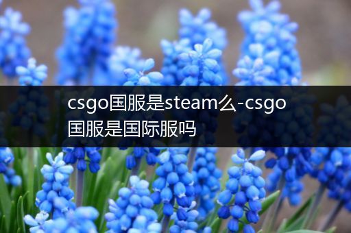 csgo国服是steam么-csgo国服是国际服吗