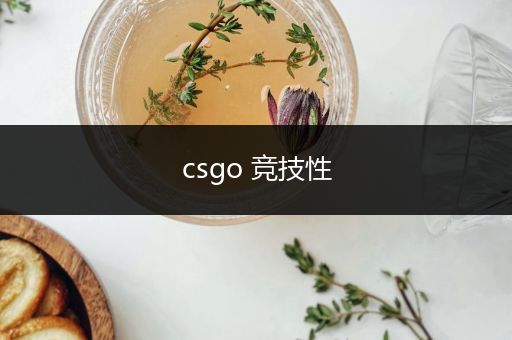 csgo 竞技性