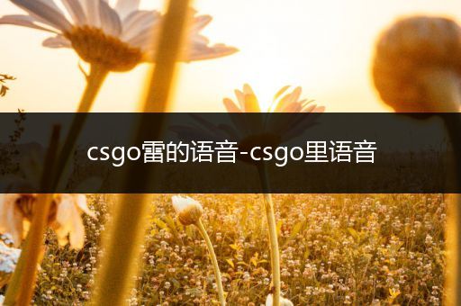 csgo雷的语音-csgo里语音