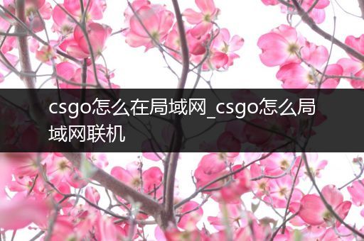 csgo怎么在局域网_csgo怎么局域网联机