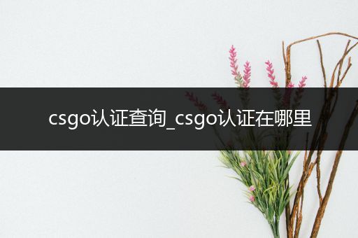 csgo认证查询_csgo认证在哪里