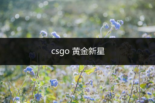 csgo 黄金新星