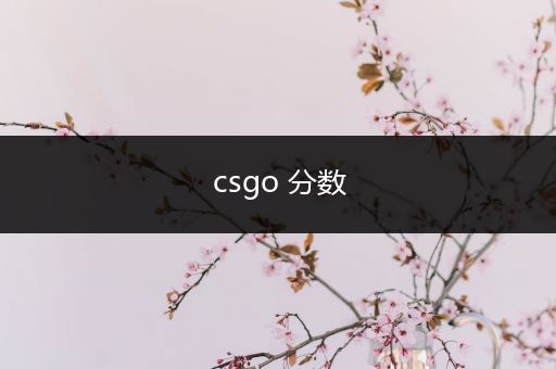 csgo 分数