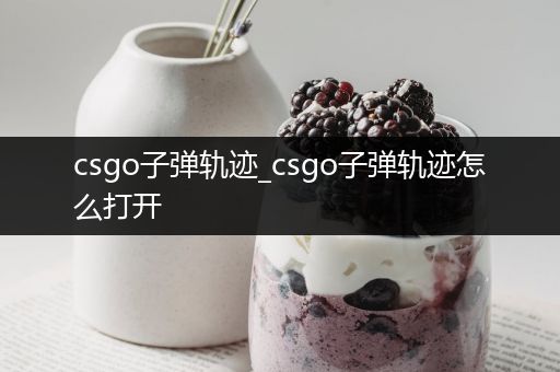 csgo子弹轨迹_csgo子弹轨迹怎么打开