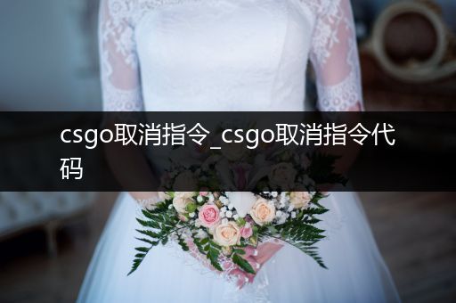 csgo取消指令_csgo取消指令代码