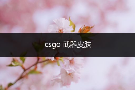 csgo 武器皮肤