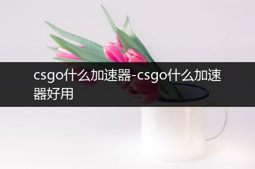 csgo什么加速器-csgo什么加速器好用