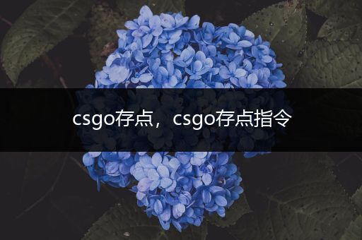 csgo存点，csgo存点指令