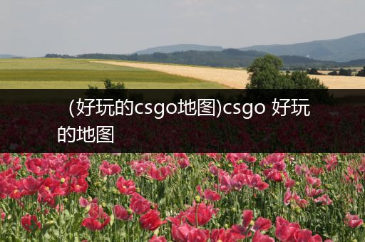 （好玩的csgo地图)csgo 好玩的地图