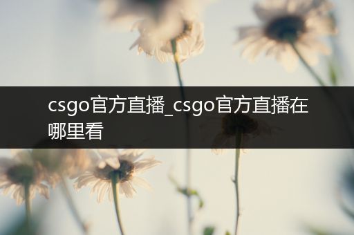 csgo官方直播_csgo官方直播在哪里看