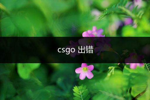 csgo 出错